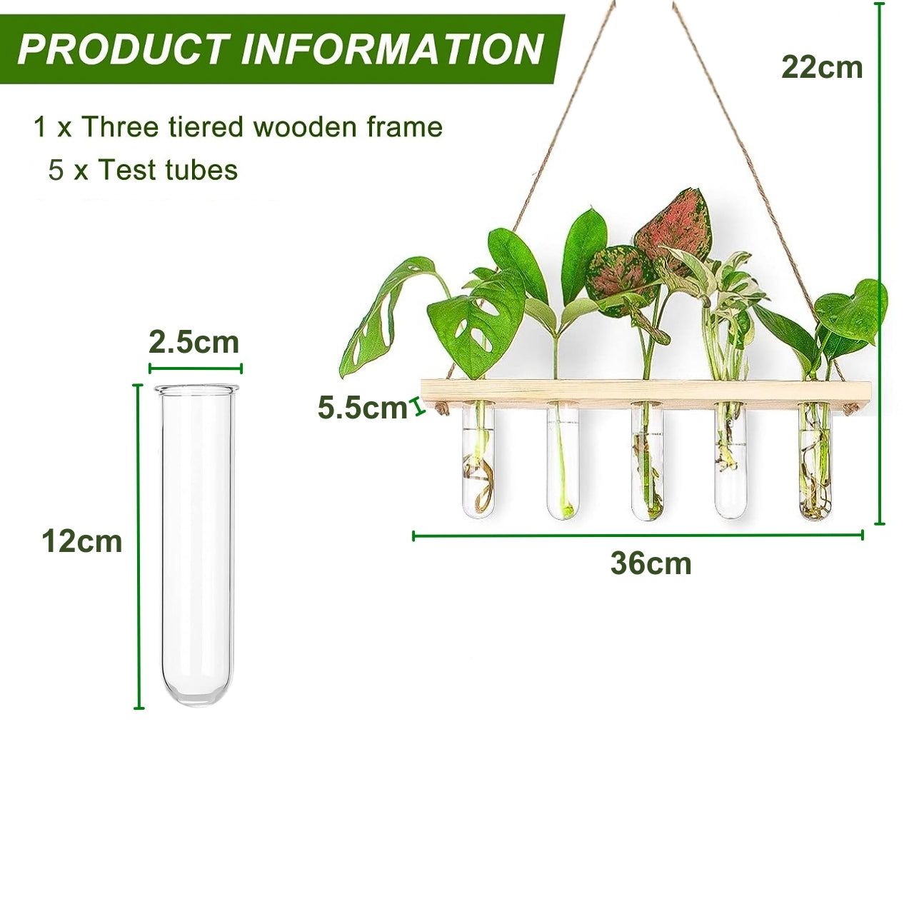 Modern Hanging Test Tube Planter – Wooden Frame Wall Vase with 5 Glass Tubes