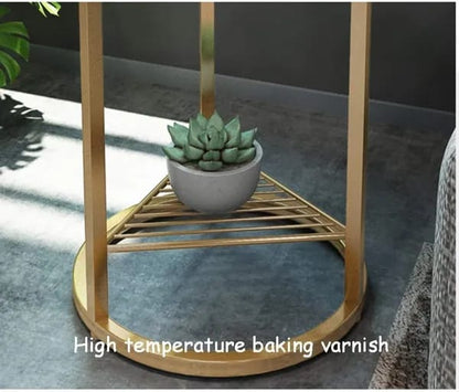 Luxury Wooden Top Side Table with Gold Finish Base