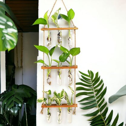 Modern Hanging Test Tube Planter – 3 Tier Wooden Wall Vase with Glass Tubes