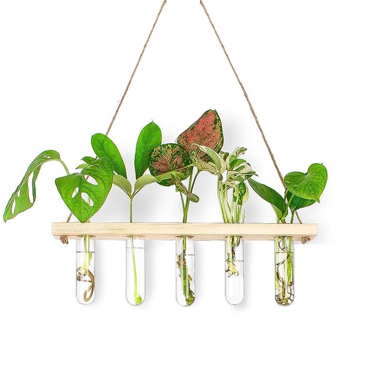 Modern Hanging Test Tube Planter – Wooden Frame Wall Vase with 5 Glass Tubes