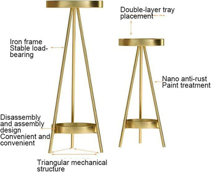 Luxury 2-Tier Gold Metal Plant Stand | Modern Flower Pot Holder | Decorative Indoor Plant Display Shelf
