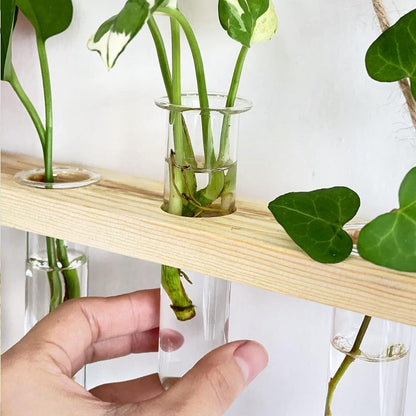 Modern Hanging Test Tube Planter – Wooden Frame Wall Vase with 5 Glass Tubes